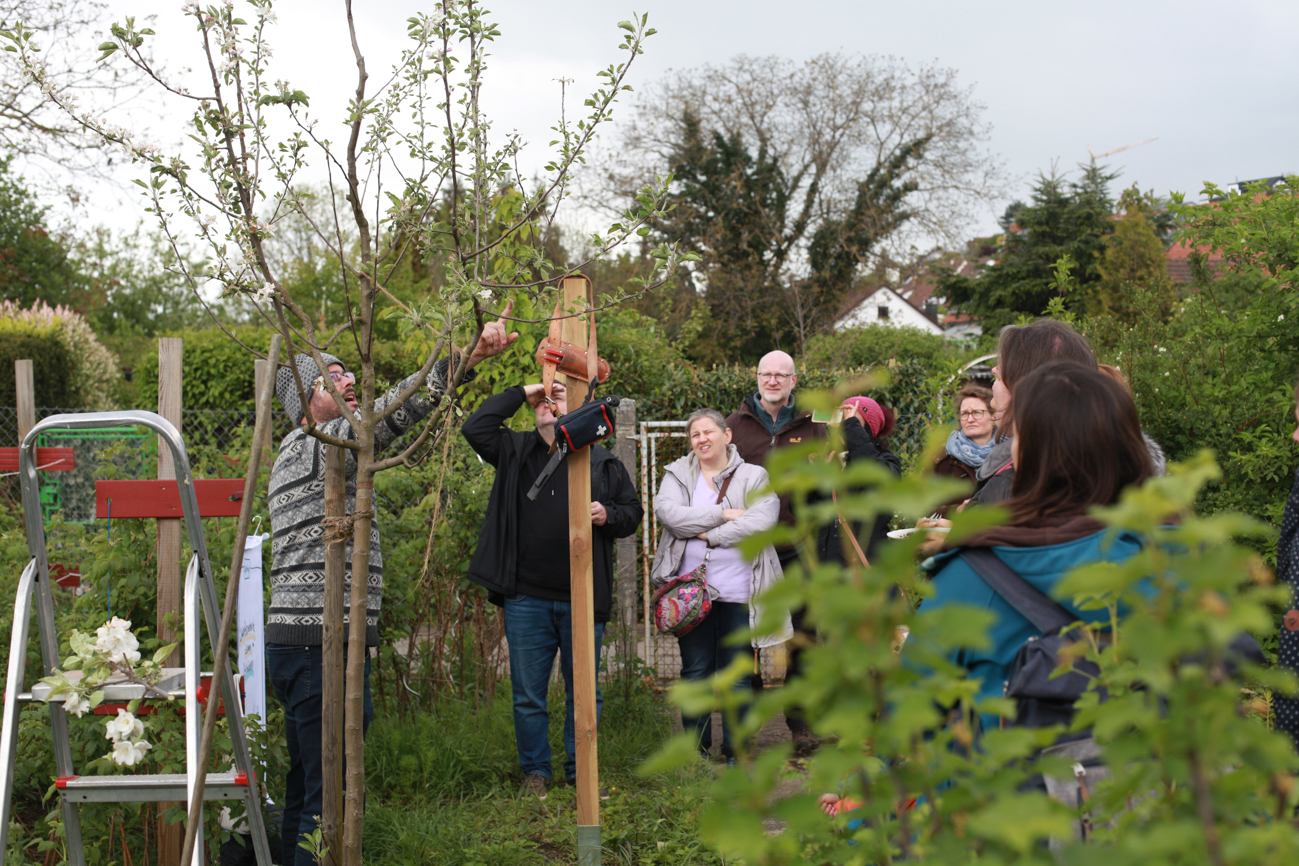 POPUP21 - Mit Herzblut gegen das Ortskernsterben POPUP21 - Mit Herzblut gegen das Ortskernsterben
