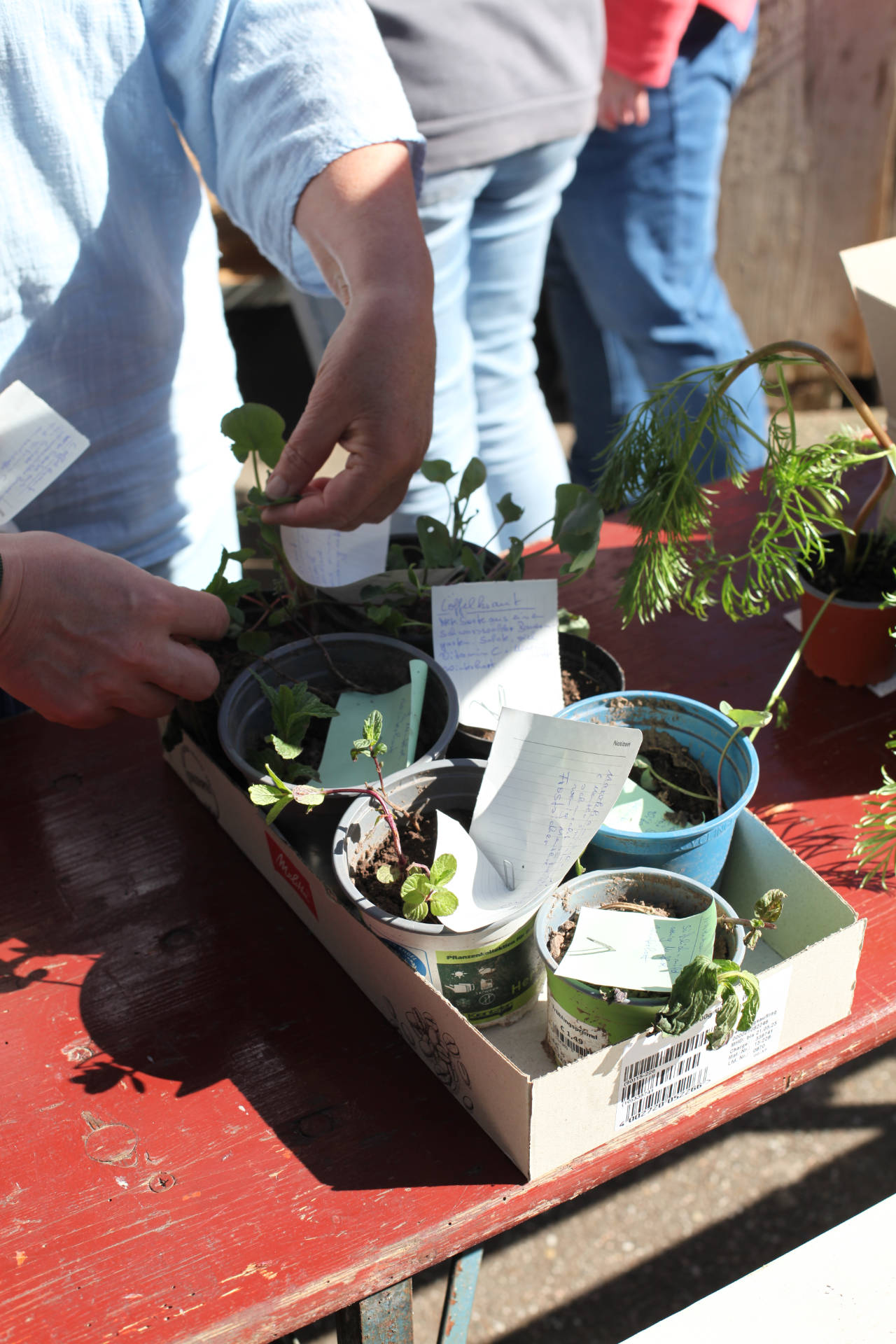 POPUP21 - Mit Herzblut gegen das Ortskernsterben POPUP21 - Mit Herzblut gegen das Ortskernsterben