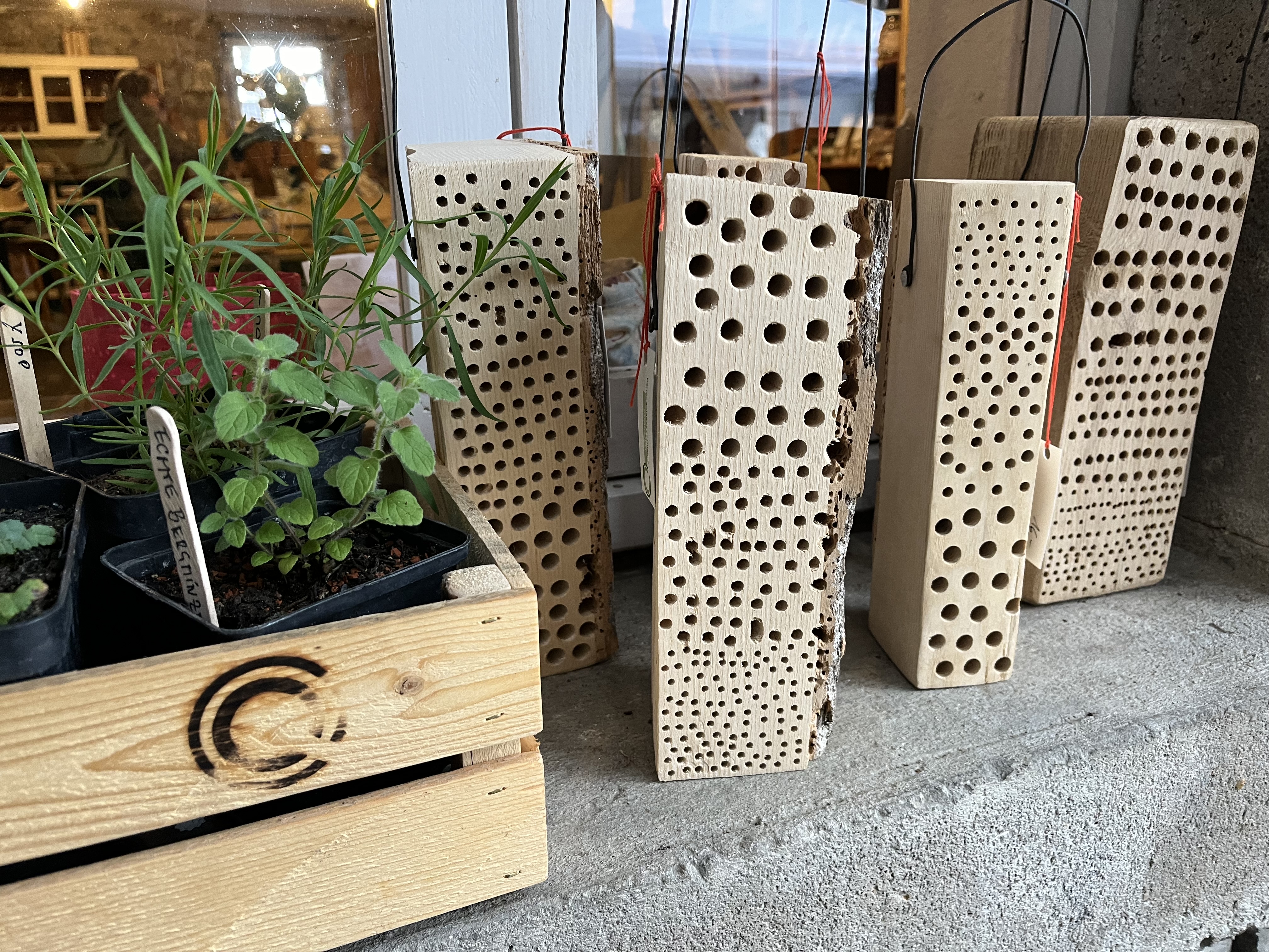 POPUP21 - Mit Herzblut gegen das Ortskernsterben