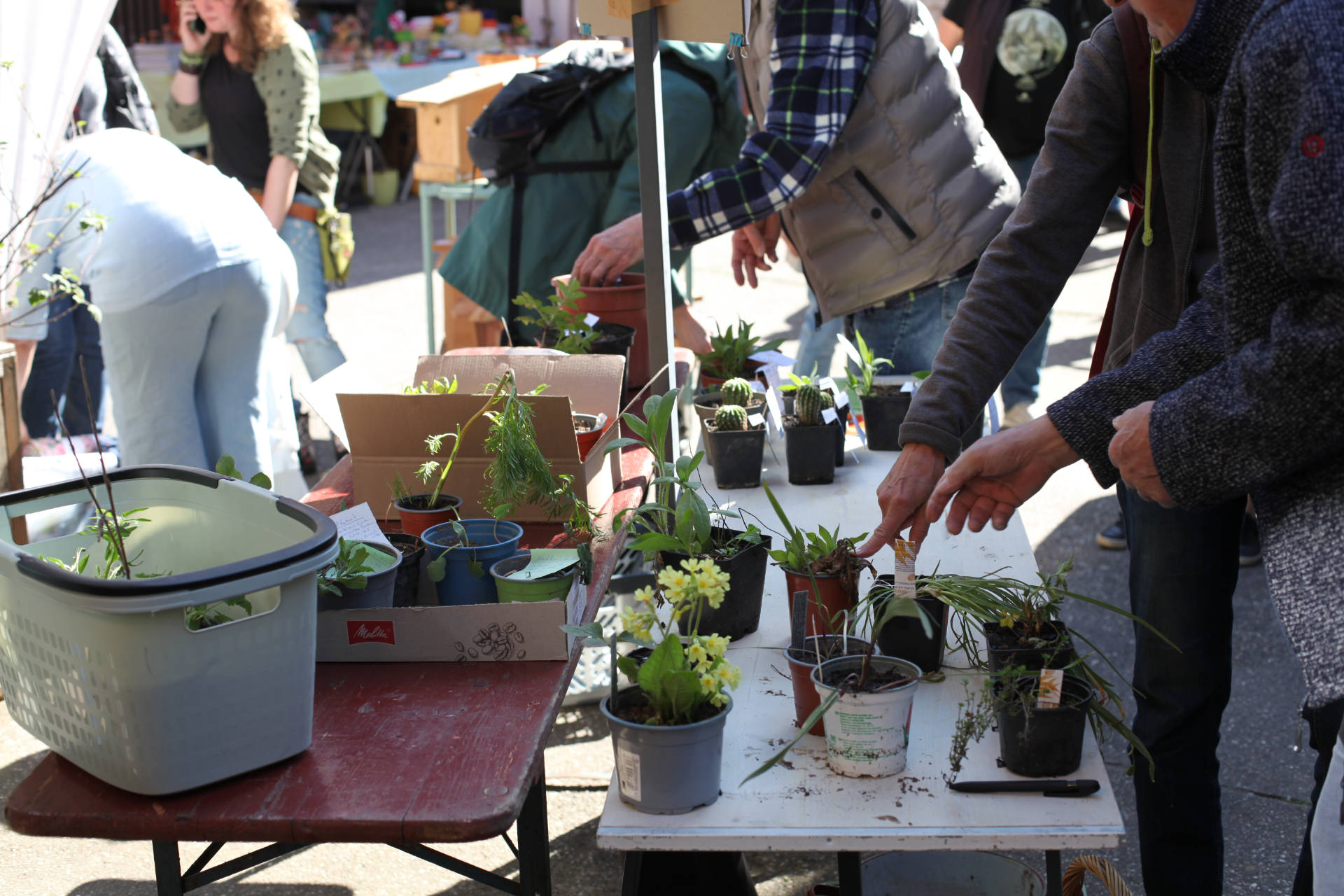 POPUP21 - Mit Herzblut gegen das Ortskernsterben