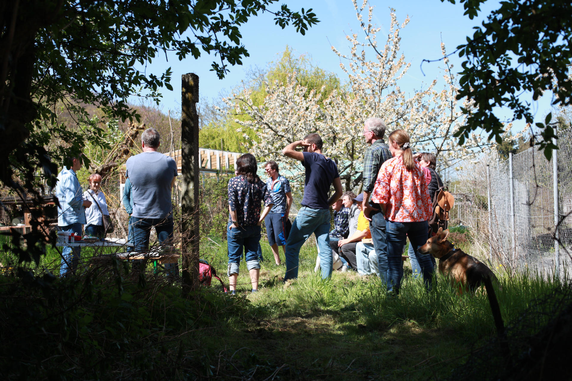 POPUP21 - Mit Herzblut gegen das Ortskernsterben